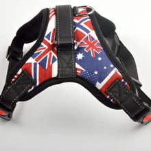 Load image into Gallery viewer, Pet Dog and Cat Adjustable Harness with Leash Reflective and Breathable for Small and Large Dog Harness Vest Pet Supplies